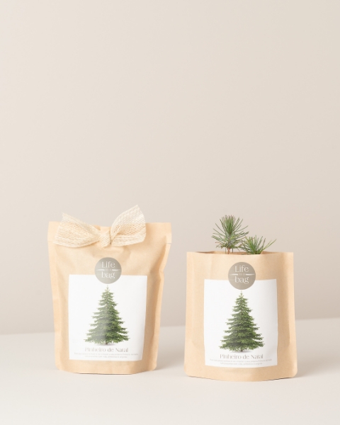Imagem de Grow Bag Pinheiro de Natal