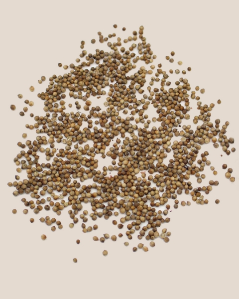 Sementes biológicas de ervas aromáticas e flores comestíveis