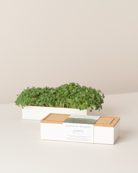 Imagem de Microvegetais Duo Agrião e Rúcula
