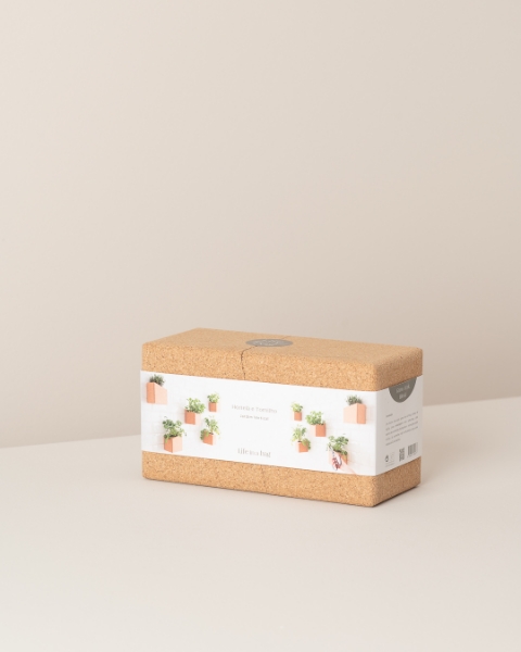 Image de Grow Block Basilic et Coriandre