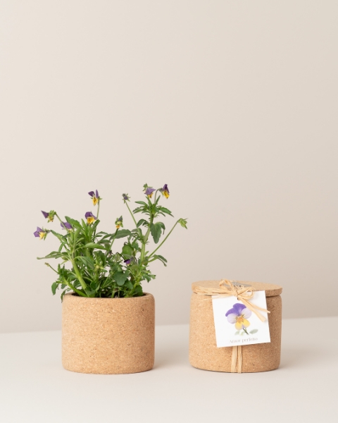 Image de Pack Chère Marraine