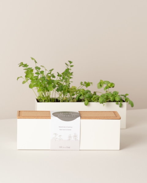 Mini Horta