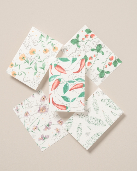 Seed Paper