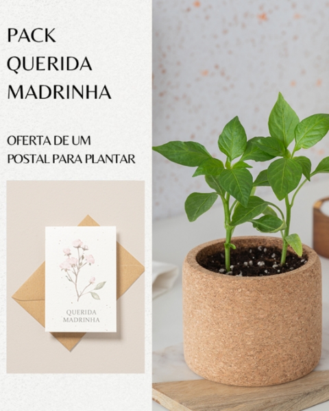 Pack Querida Madrinha