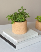 Imagem de Grow Cork Oregãos