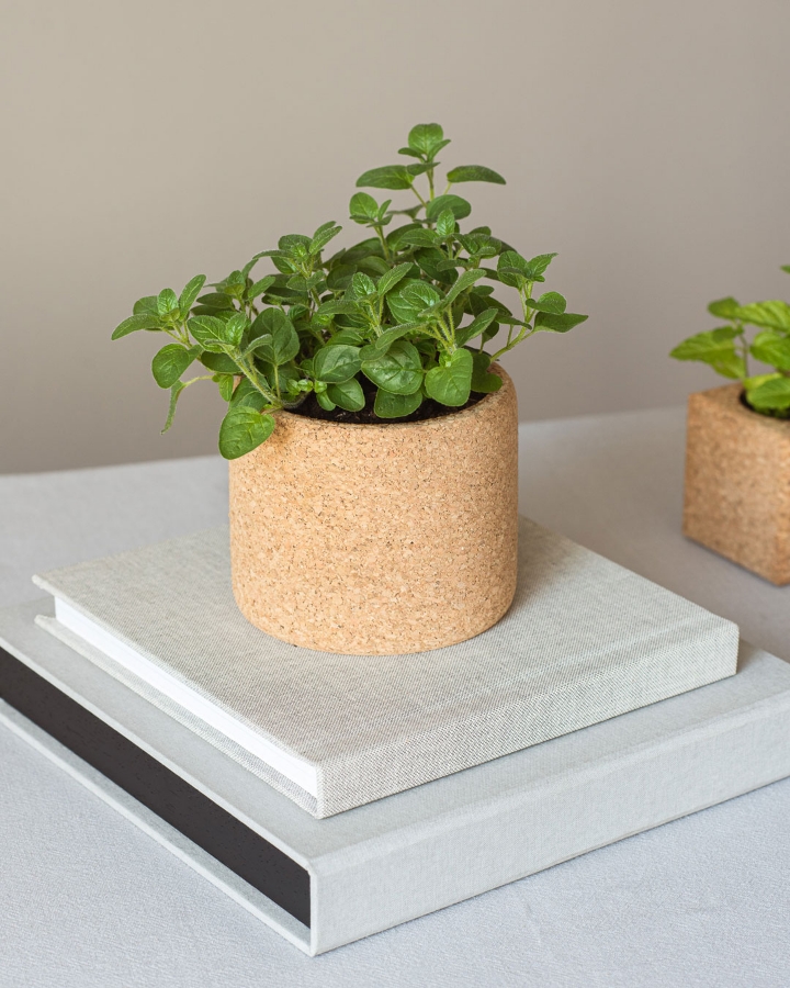 Imagem de Grow Cork Oregãos