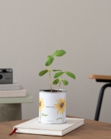 Immagine di Giardino in Latta Personalizzato