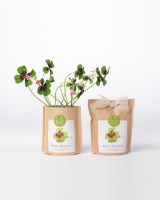 Grow Bag Trevo da Sorte - Good luck clover