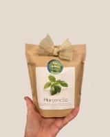 Imagem de Grow Bag Personalizado