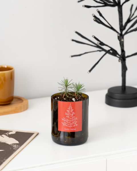 Imagem de Bottle Garden Personalizada