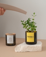 Imagem de Bottle Garden Personalizada