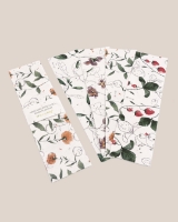 Imagem de Marcador de Livros - Conjunto de 4