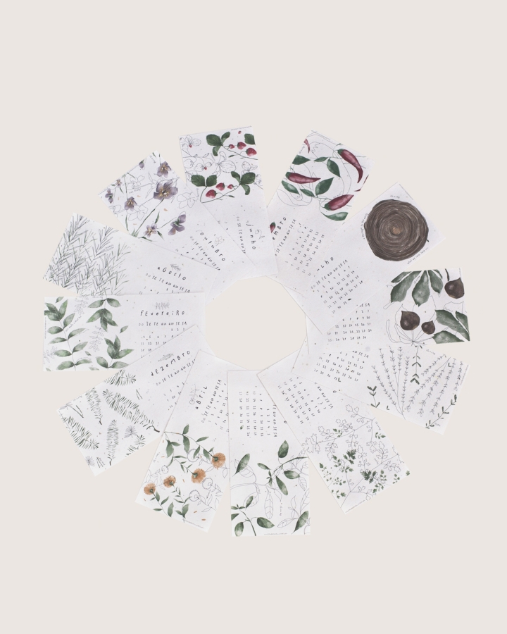 Image de Calendrier à Planter 2025 Violette Rose