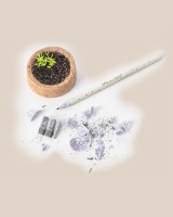 Image de Ensemble de 3 crayons à planter