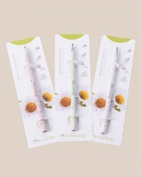 Image de Ensemble de 3 crayons à planter