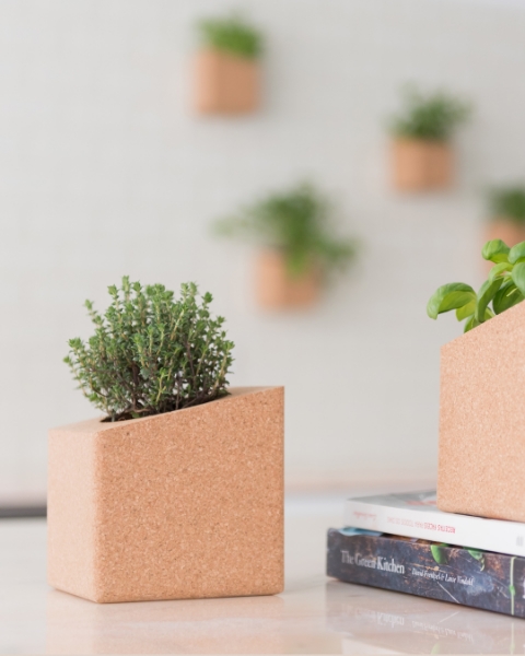 Image de Grow Block Menthe et Thym