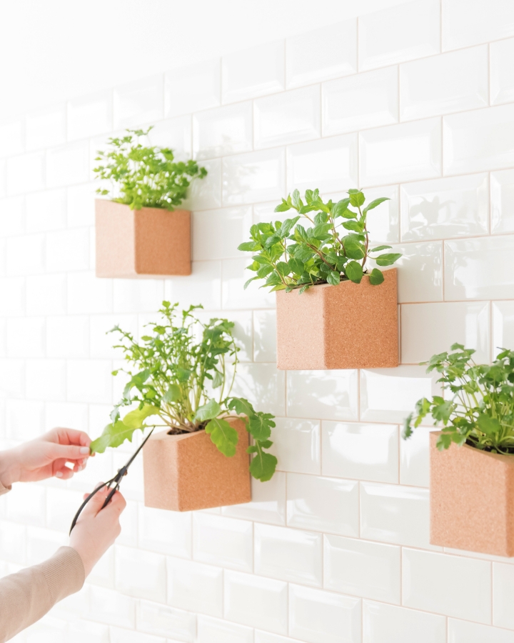 Image de Grow Block Menthe et Thym