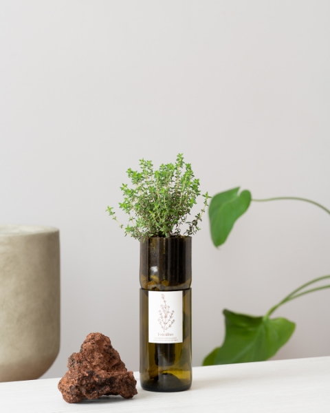 Grow thyme in this bottle
