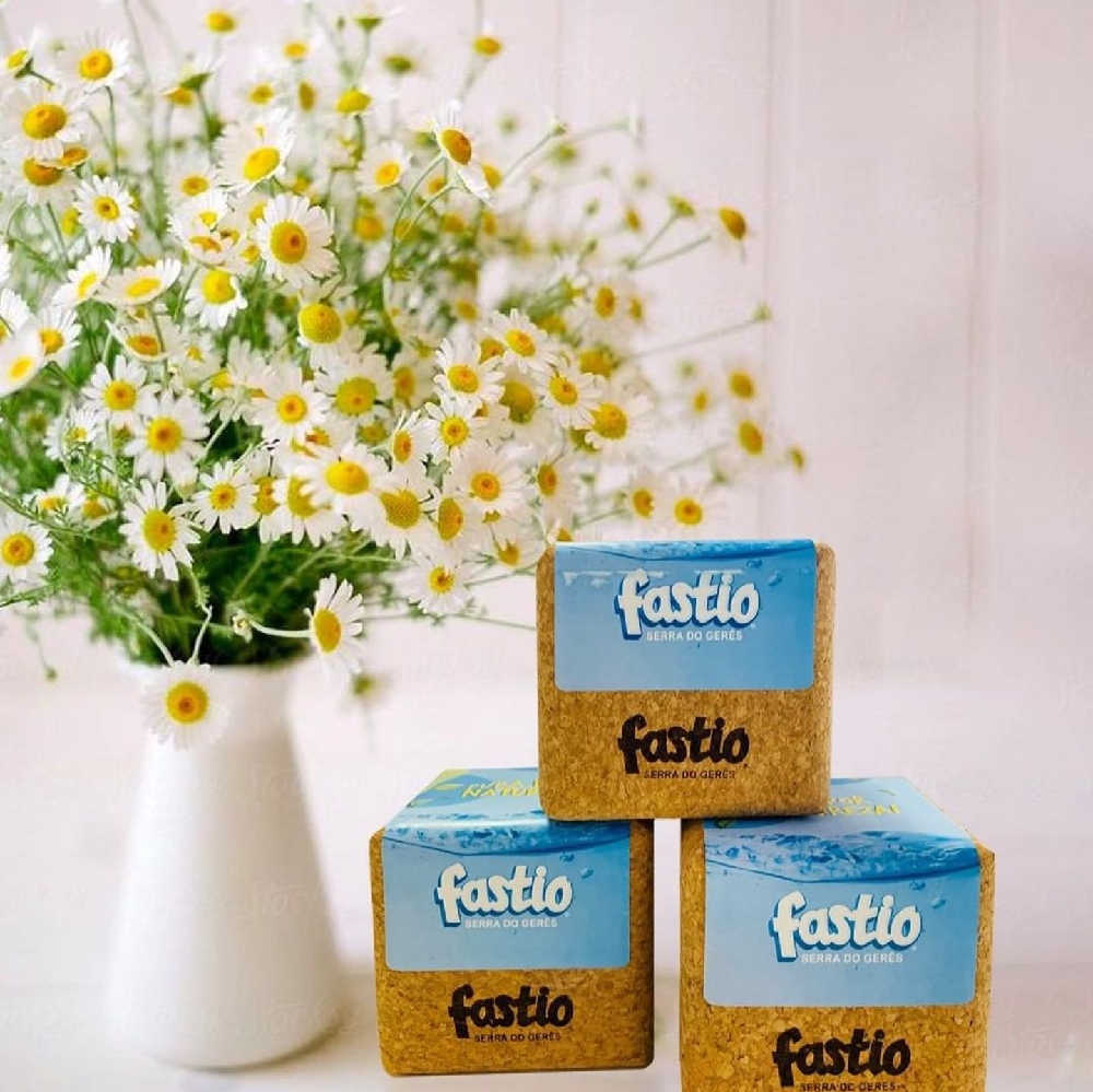 Como escolher brindes sustentáveis para um evento corporativo