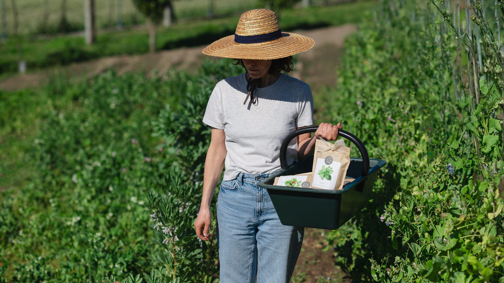 Growing Experience